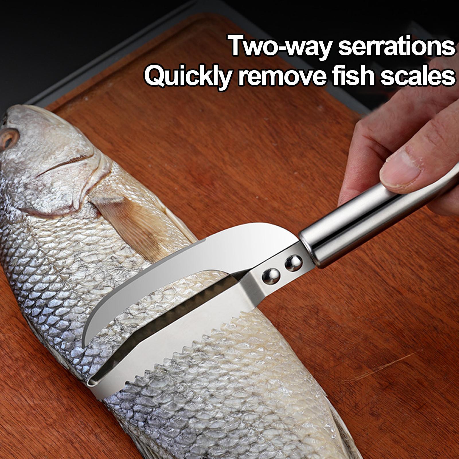 Cuchillo para quitar escamas d - Kitchen Gadgets That Are Useful reseña y precio
